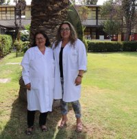 Equipo Docentes Asignatura Historia